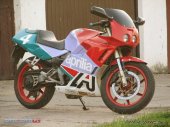 1989 Aprilia AF1 125 Sintesi Replica photo